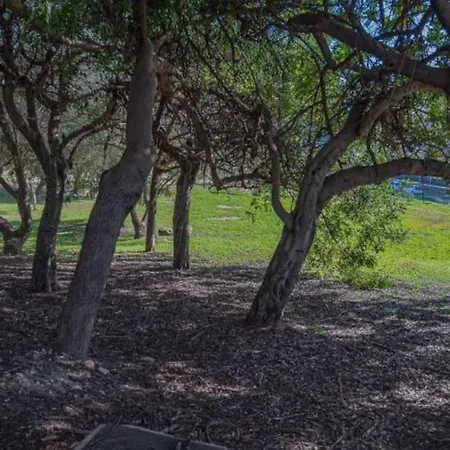 Lovely Independent Mini *